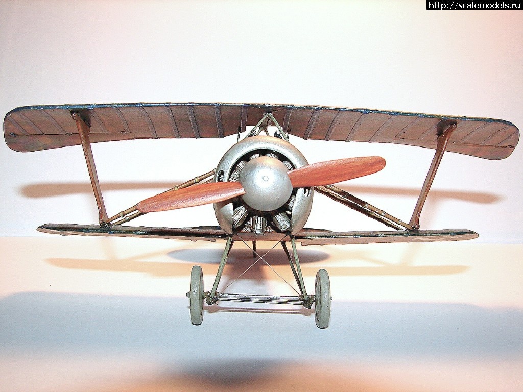 1491550215_2017-04-07-07-39-09.jpg : #1366671/ Karaya Albatros D XI 1/48   