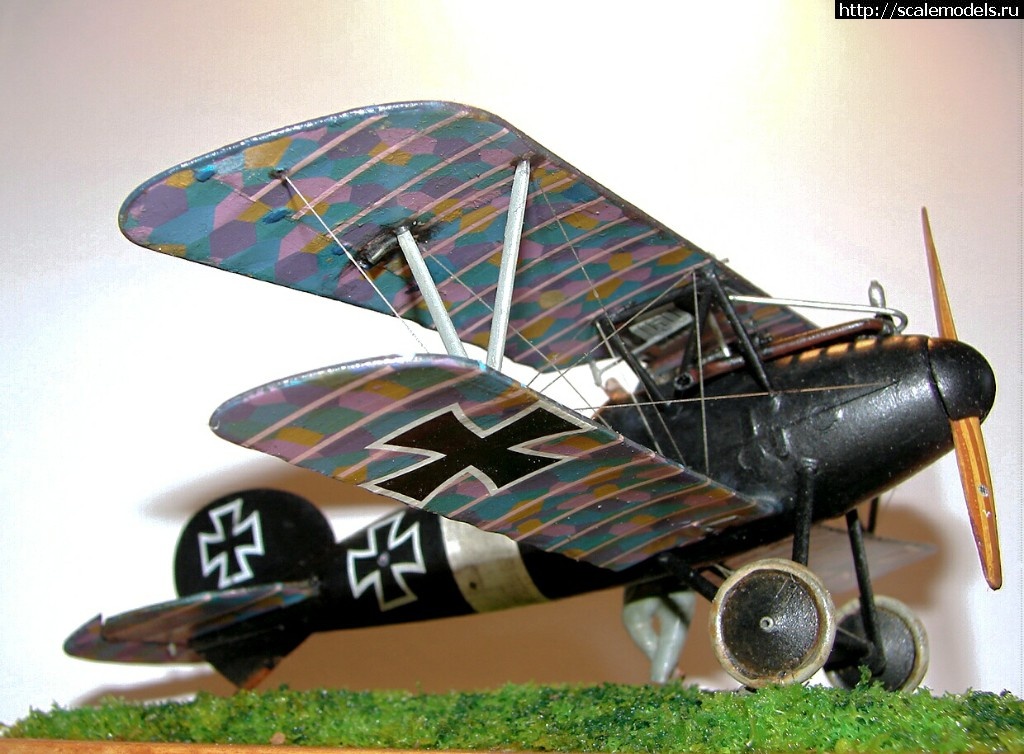 1491556243_2017-04-06-18-26-50.jpg : #1366730/ Eduard Albatros D V 1/48   