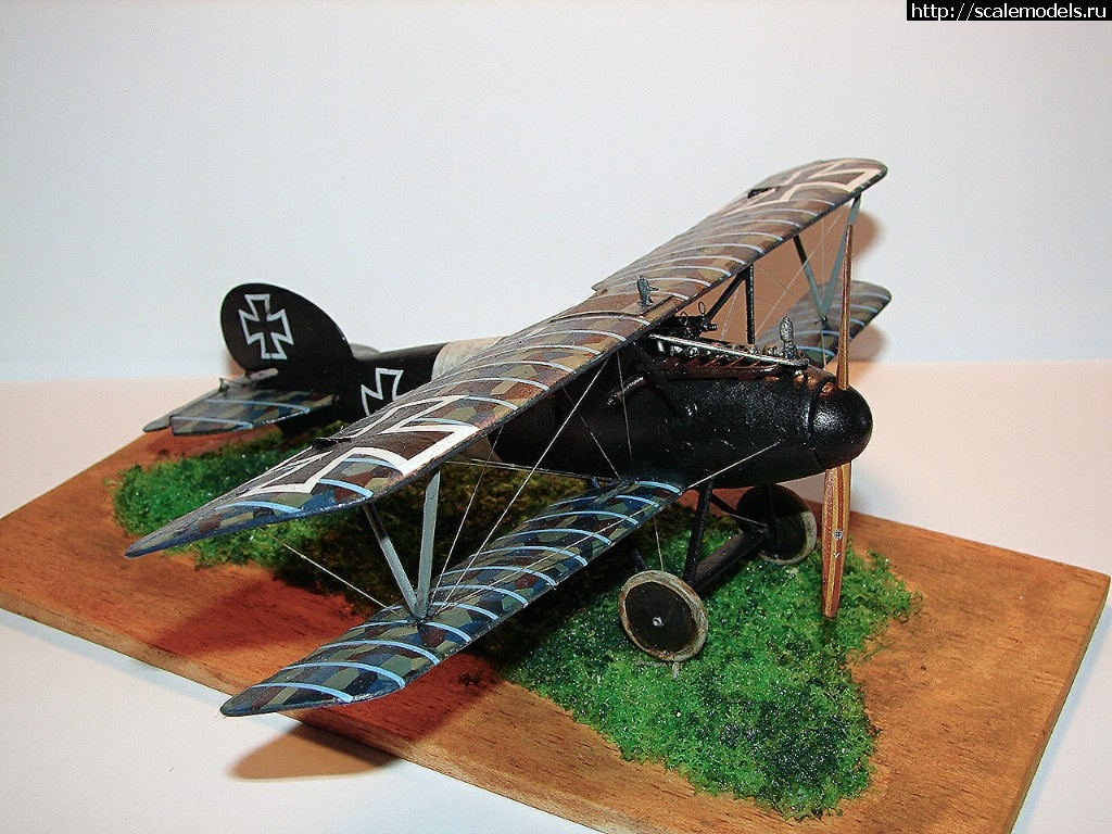 1491556262_2017-04-06-18-29-00.jpg : #1366730/ Eduard Albatros D V 1/48   