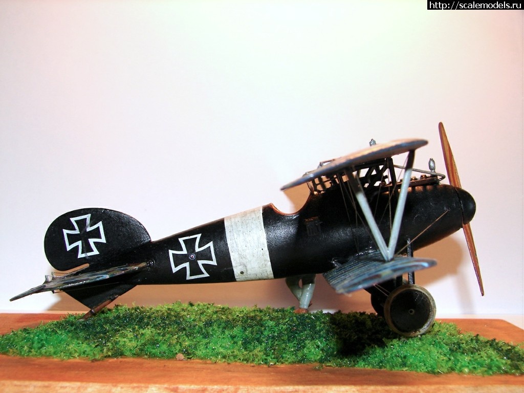 1491556332_2017-04-06-18-43-23.jpg : #1366730/ Eduard Albatros D V 1/48   