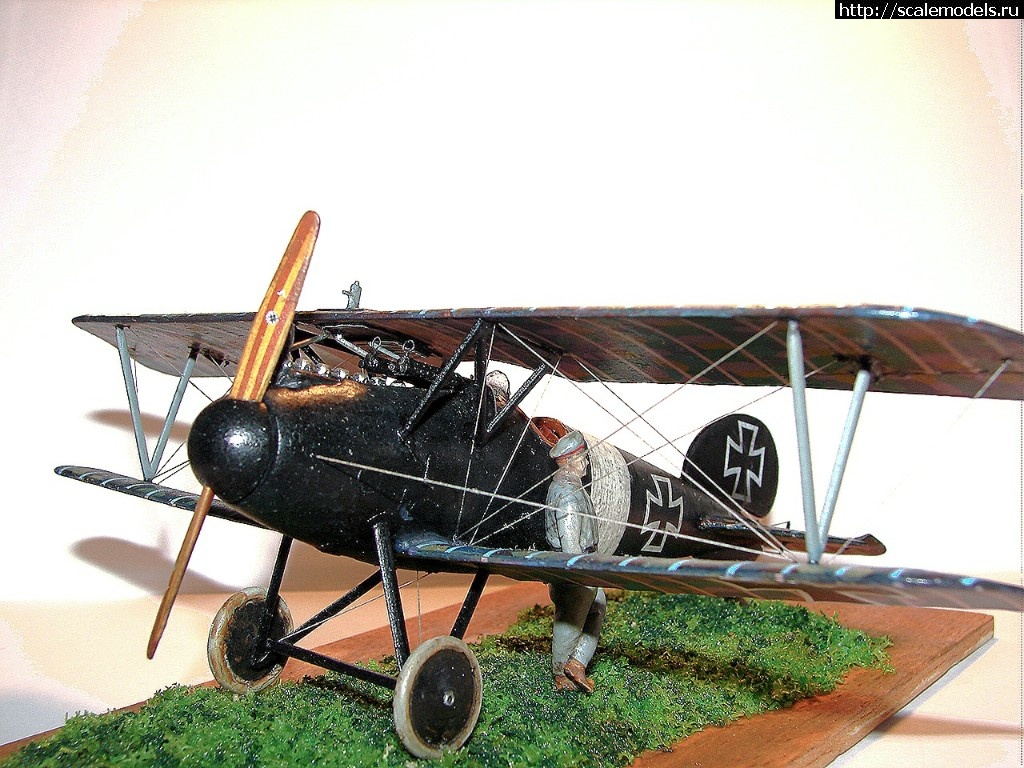 1491556349_2017-04-06-18-41-40.jpg : #1366730/ Eduard Albatros D V 1/48   