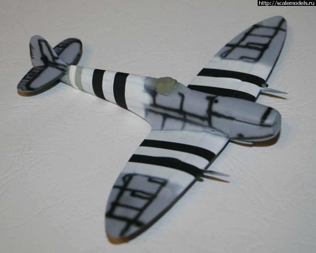 1491586651_IMG_5360.JPG : #1366967/ Spitfire Mk.IXc 1/72 Eduard ()  