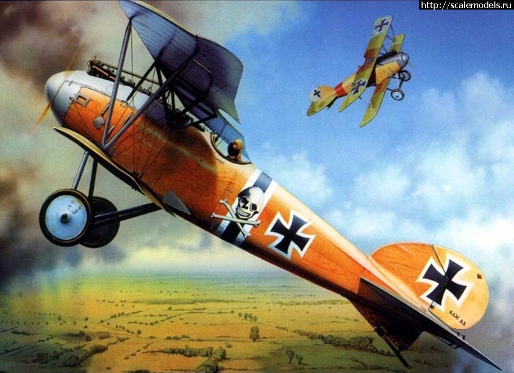 1491842021_2.jpg : #1367921/   Albatros D III OAW  