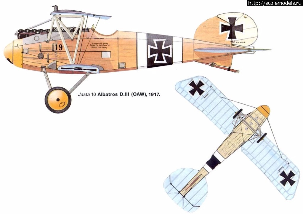 1491842062_8.jpg : #1367921/   Albatros D III OAW  