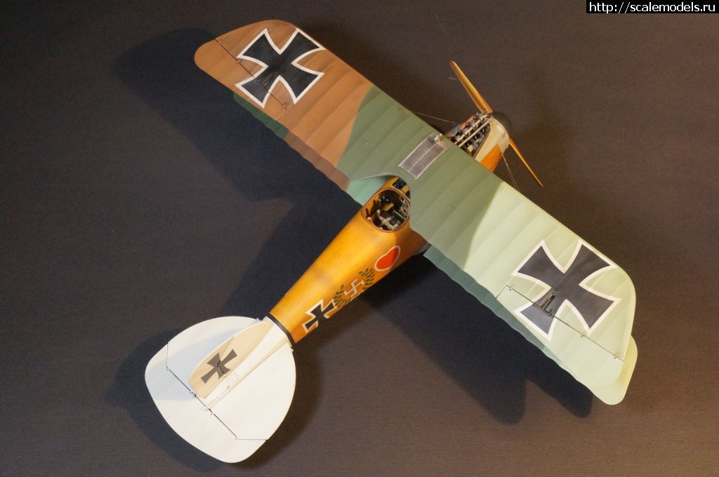 1492287464_DSC04777.JPG : 1/32 Albatros D.III Roden+WnW - !/ 1/32 Albatros D.III Roden+WnW-!  