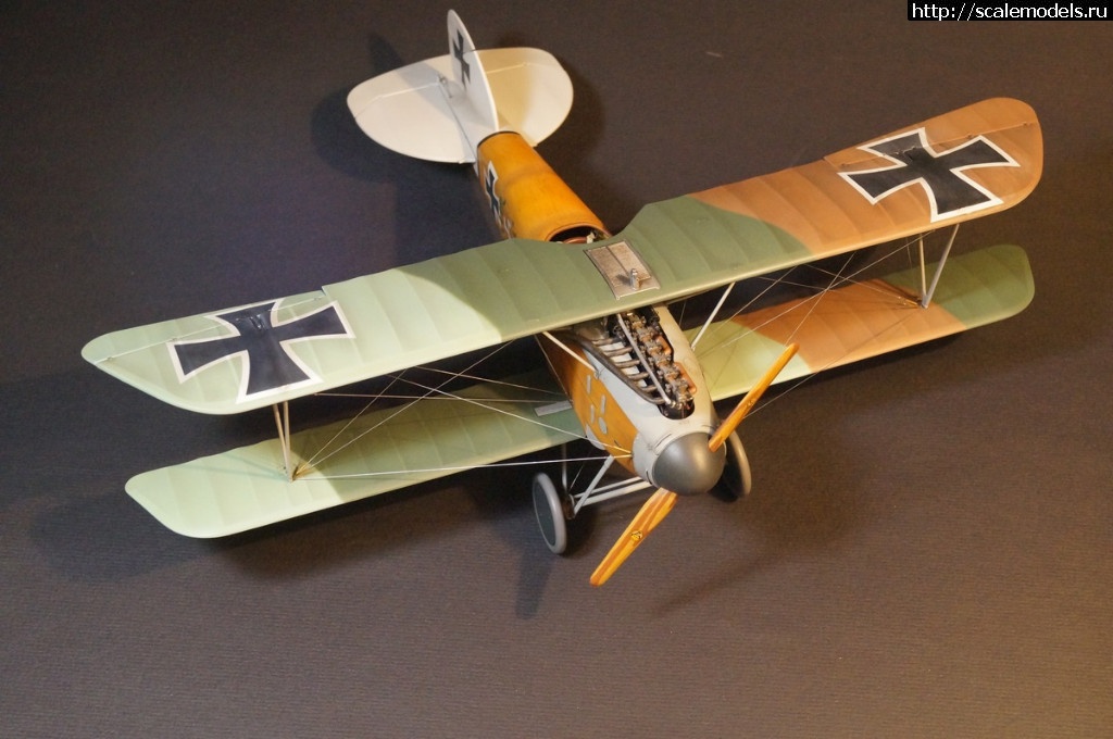 1492287464_DSC04780.JPG : 1/32 Albatros D.III Roden+WnW - !/ 1/32 Albatros D.III Roden+WnW-!  