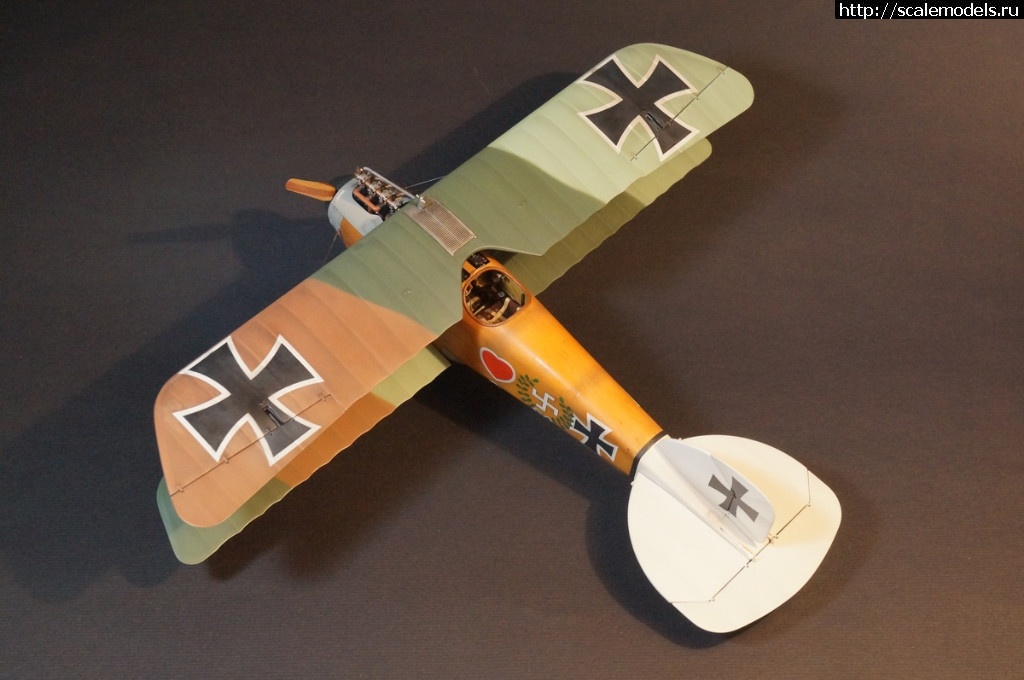 1492287465_DSC04784.JPG : 1/32 Albatros D.III Roden+WnW - !/ 1/32 Albatros D.III Roden+WnW-!  