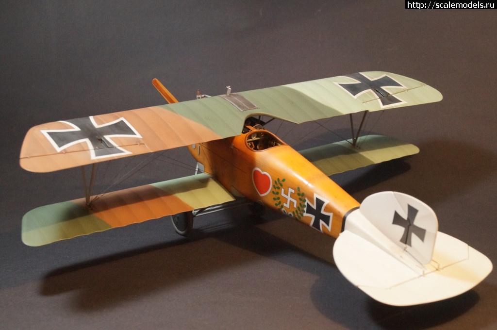 1492287465_DSC04800.JPG : 1/32 Albatros D.III Roden+WnW - !/ 1/32 Albatros D.III Roden+WnW-!  