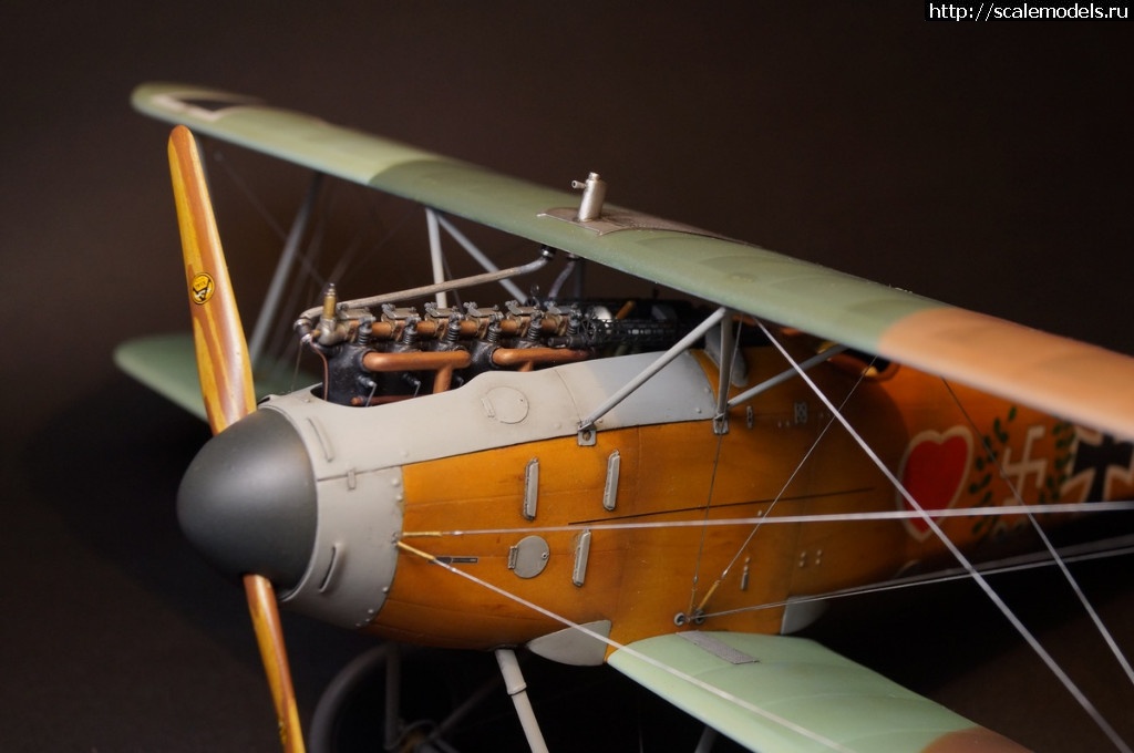 1492287467_DSC04823.JPG : 1/32 Albatros D.III Roden+WnW - !/ 1/32 Albatros D.III Roden+WnW-!  