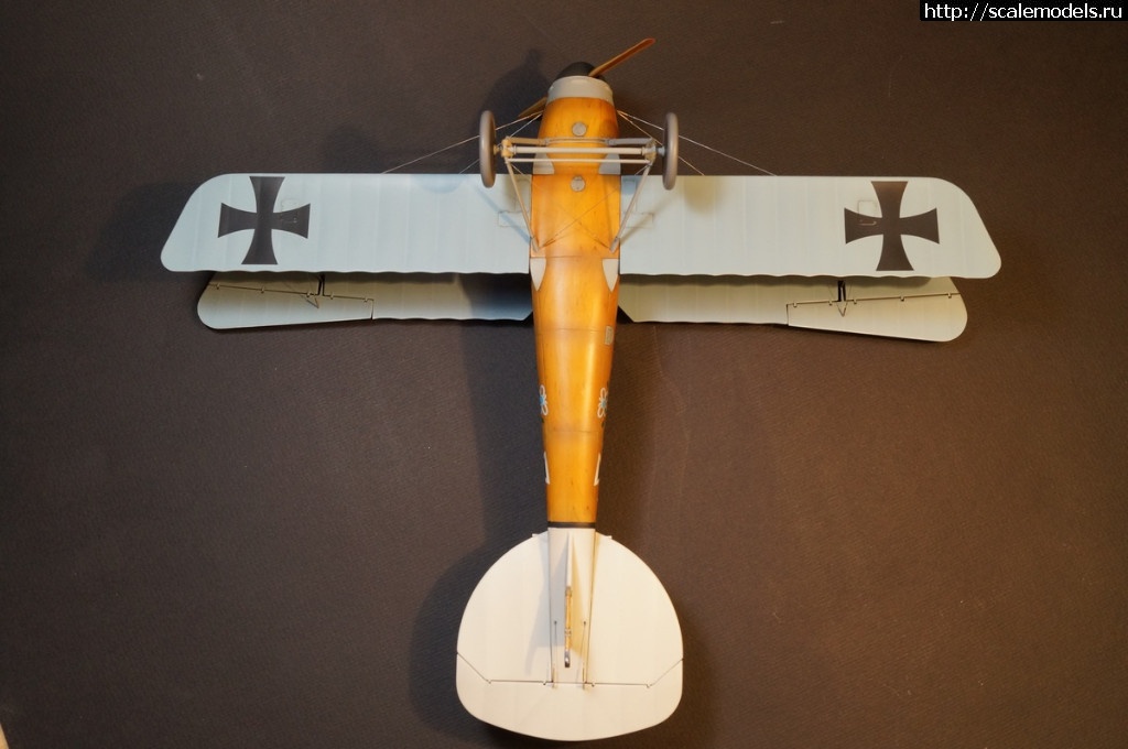 1492287468_DSC04828.JPG : 1/32 Albatros D.III Roden+WnW - !/ 1/32 Albatros D.III Roden+WnW-!  