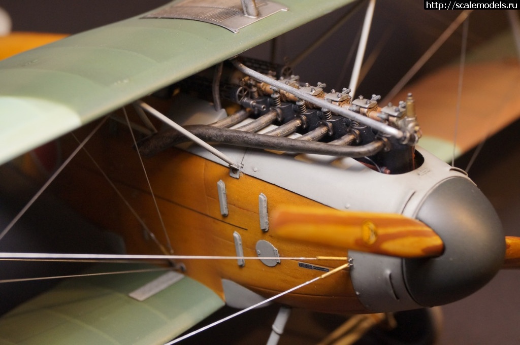 1492287469_DSC04845.JPG : 1/32 Albatros D.III Roden+WnW - !/ 1/32 Albatros D.III Roden+WnW-!  