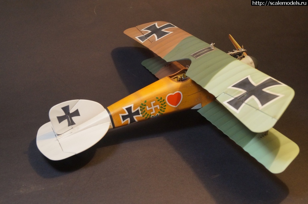 1492287471_DSC04860.JPG : 1/32 Albatros D.III Roden+WnW - !/ 1/32 Albatros D.III Roden+WnW-!  