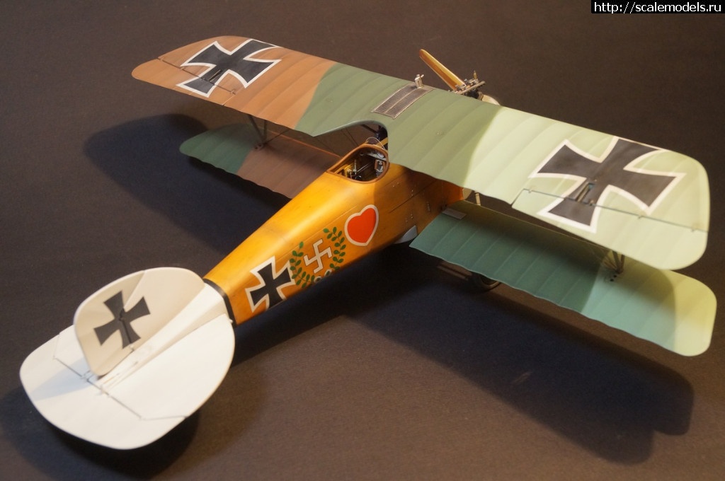 1492287472_DSC04862.JPG : 1/32 Albatros D.III Roden+WnW - !/ 1/32 Albatros D.III Roden+WnW-!  