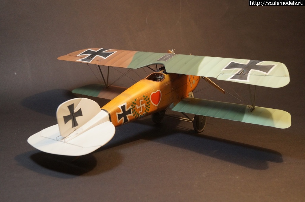 1492287473_DSC04872.JPG : 1/32 Albatros D.III Roden+WnW - !/ 1/32 Albatros D.III Roden+WnW-!  