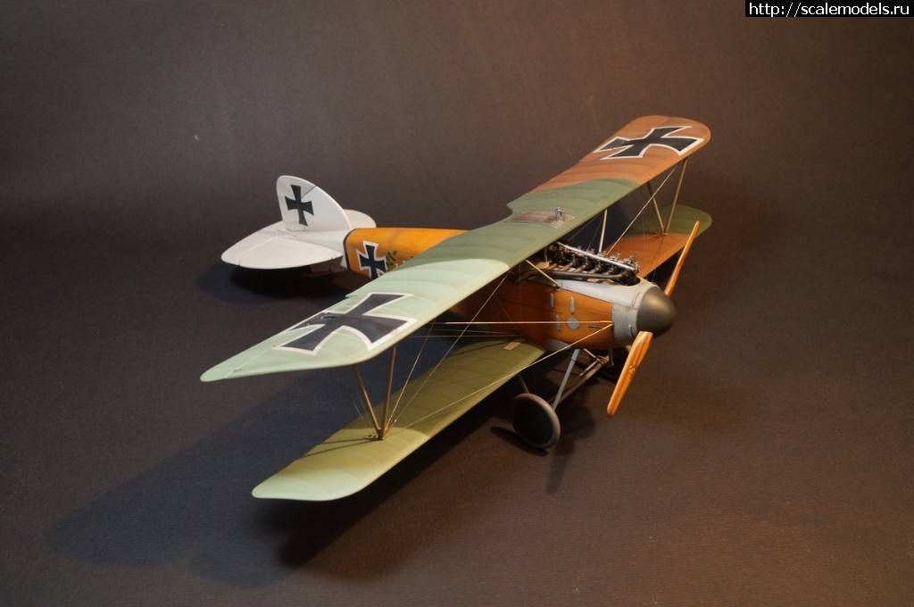 1492287474_DSC04875.JPG : 1/32 Albatros D.III Roden+WnW - !/ 1/32 Albatros D.III Roden+WnW-!  