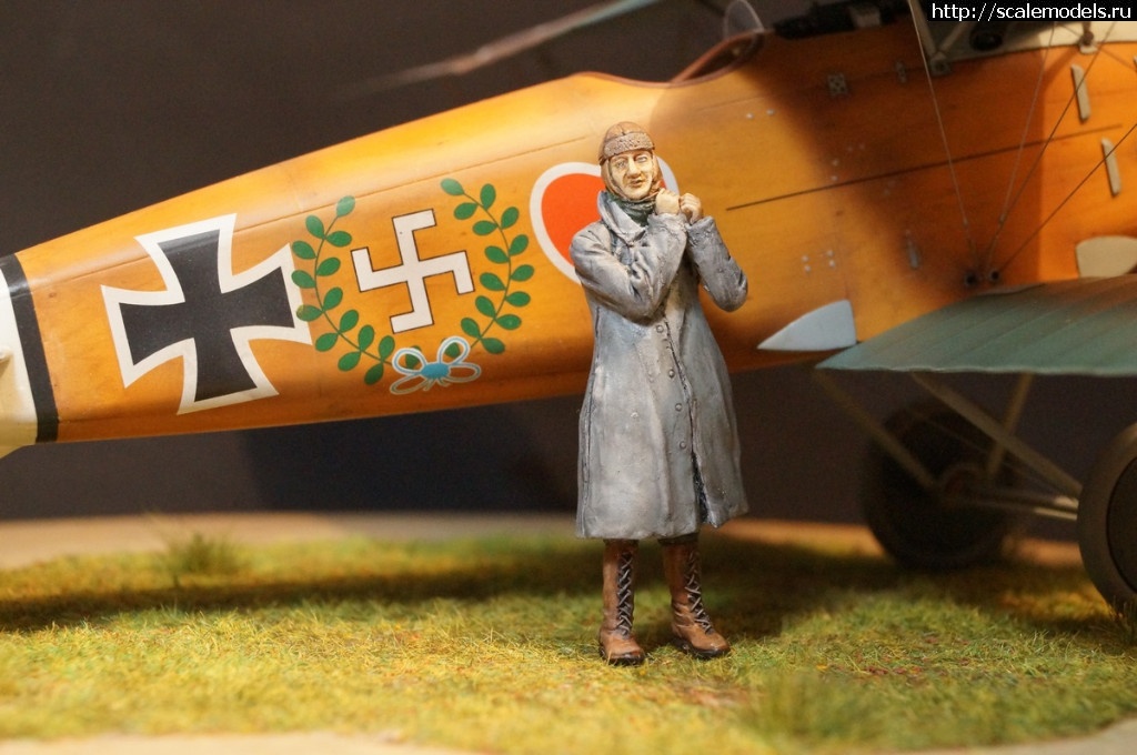 1492287475_DSC04885.JPG : 1/32 Albatros D.III Roden+WnW - !/ 1/32 Albatros D.III Roden+WnW-!  