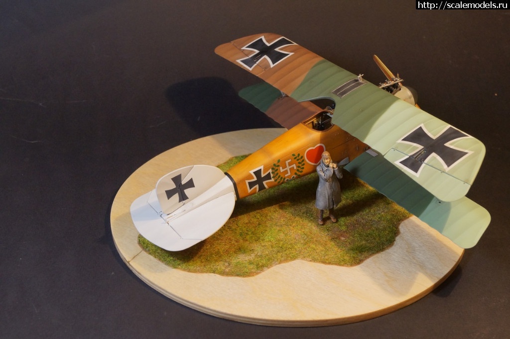 1492287476_DSC04899.JPG : 1/32 Albatros D.III Roden+WnW - !/ 1/32 Albatros D.III Roden+WnW-!  