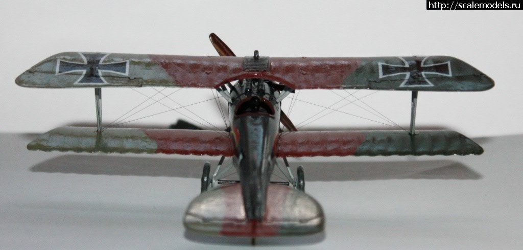 1492331265_1491724303_42.jpg :    Albatros!   1/72  