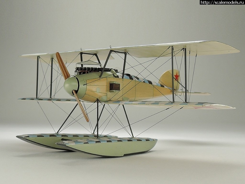 1492331312_1487706540_DSCN2663.JPG :    Albatros!   1/72  