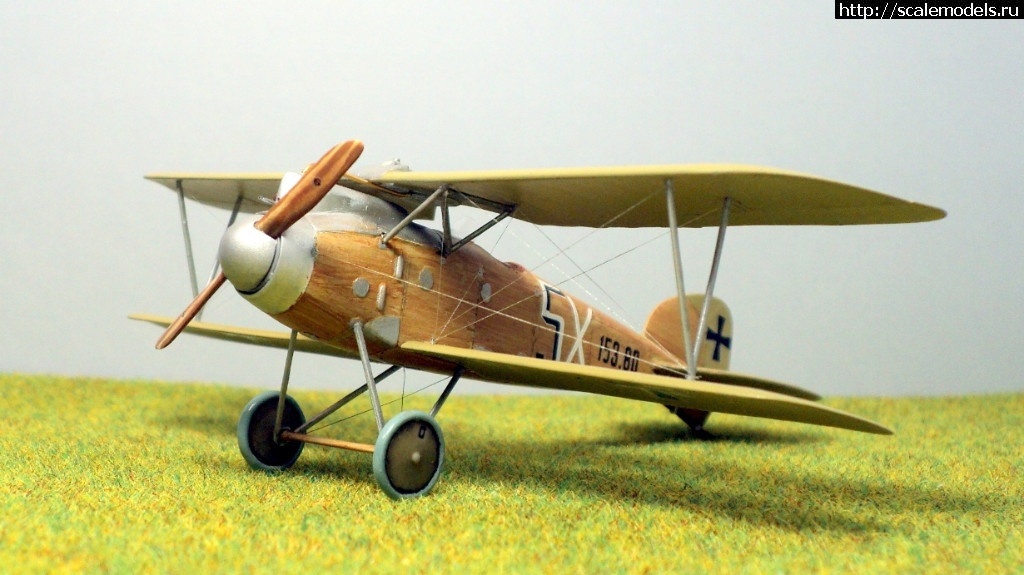 1492331361_1489946672_01.JPG :    Albatros!   1/72  