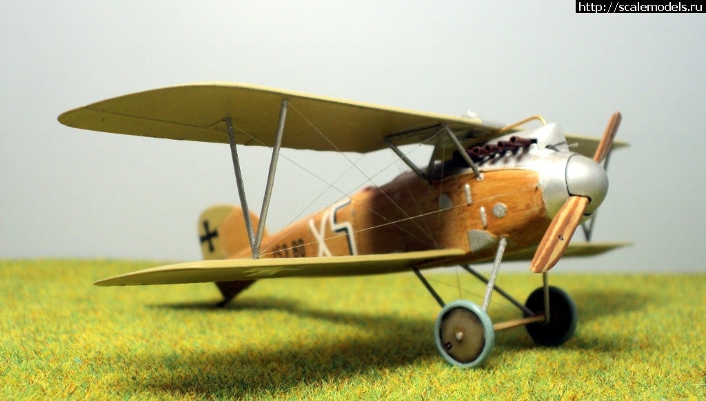 1492331367_1489946679_9.JPG :    Albatros!   1/72  