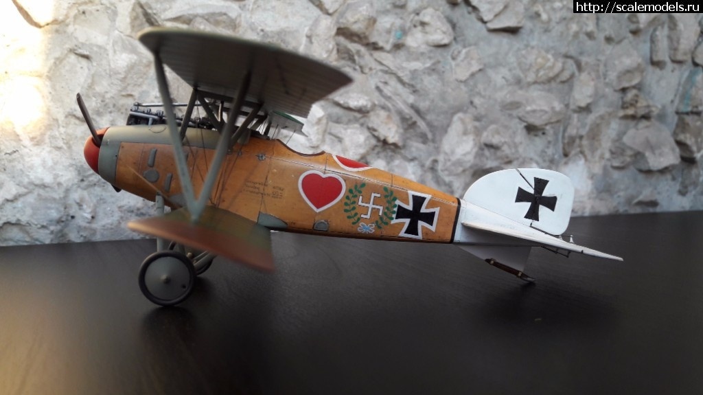 1492345999_0-2.jpg :    Albatros!   1/48  1/32  