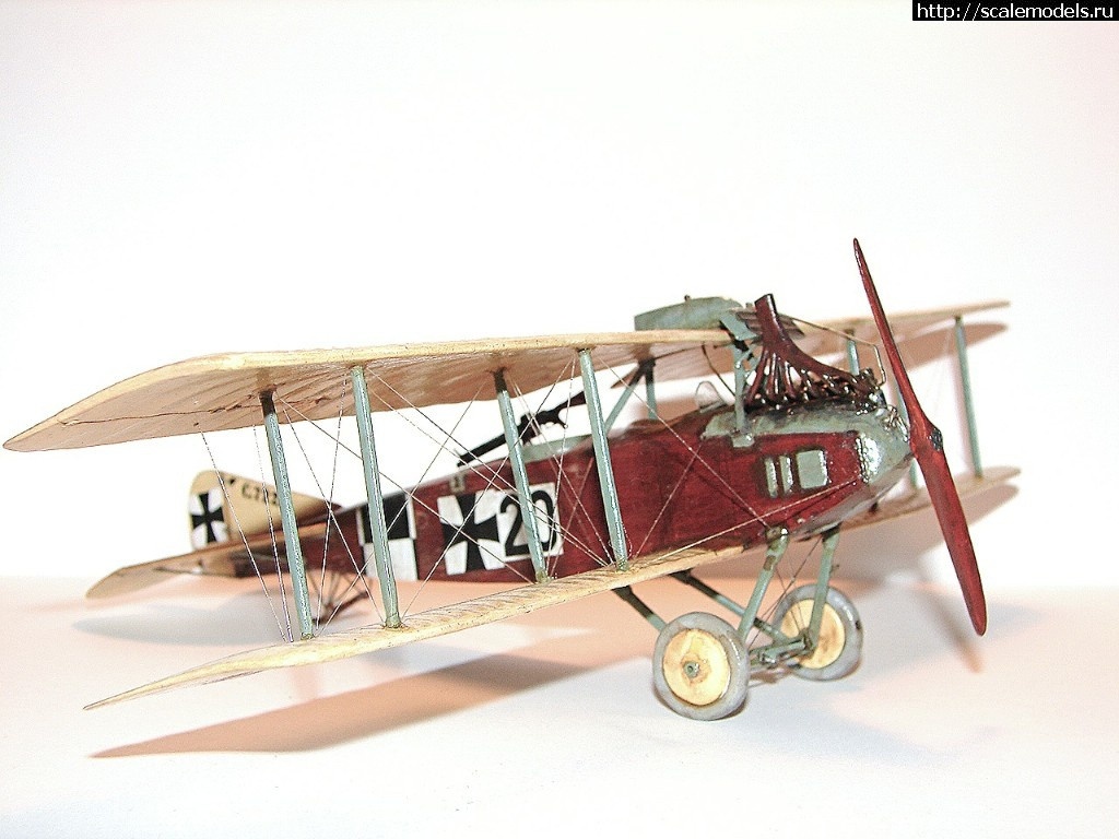 1492346949_1-1.jpg :    Albatros!   1/48  1/32  