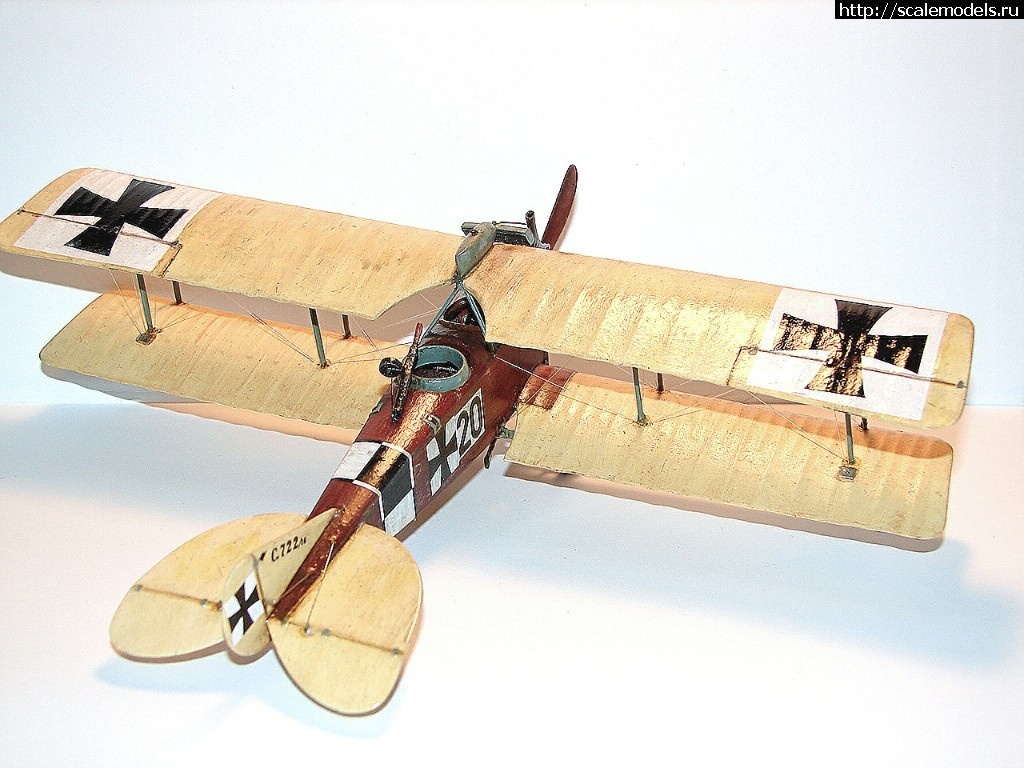 1492346950_1-2.jpg :    Albatros!   1/48  1/32  