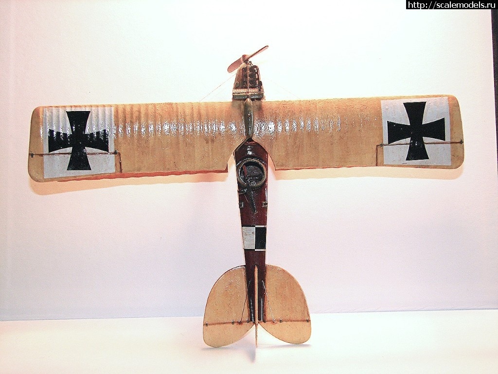 1492346952_1-4.jpg :    Albatros!   1/48  1/32  