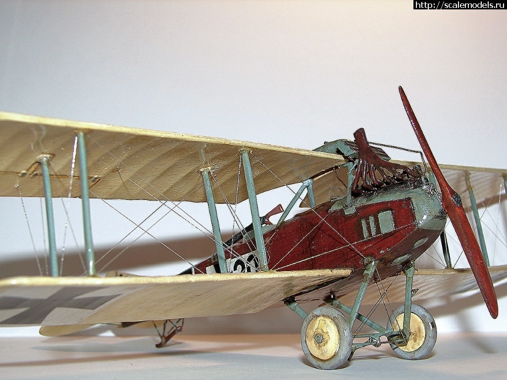 1492346957_1-8.jpg :    Albatros!   1/48  1/32  