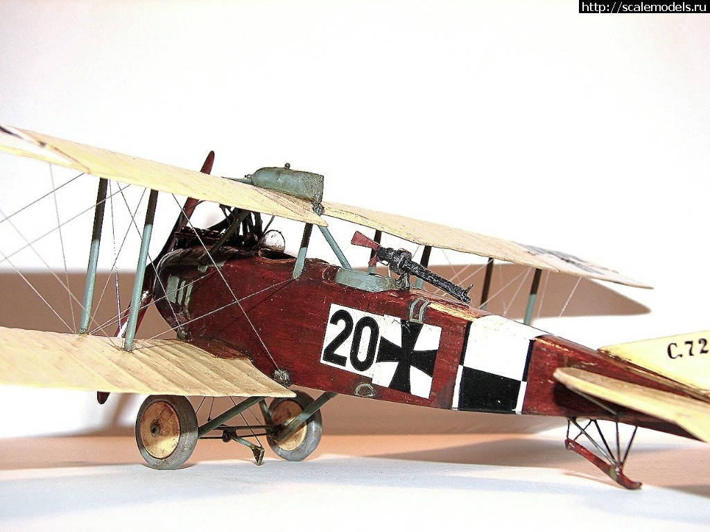 1492346958_1-10.jpg :    Albatros!   1/48  1/32  