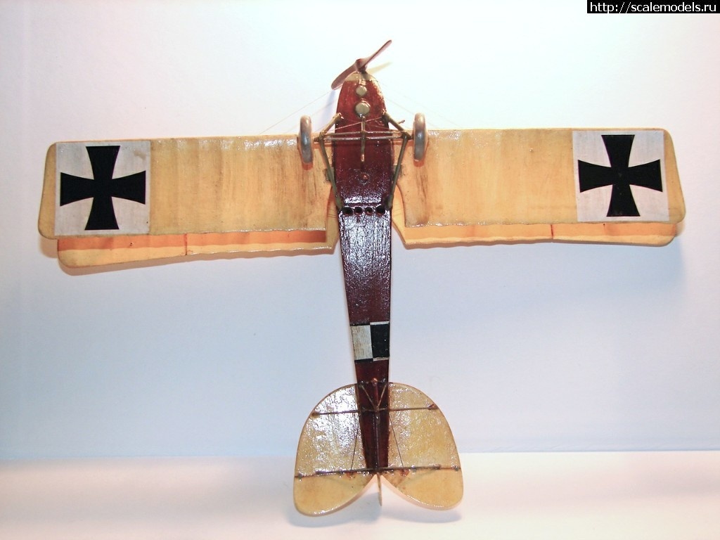 1492346958_1-9.jpg :    Albatros!   1/48  1/32  