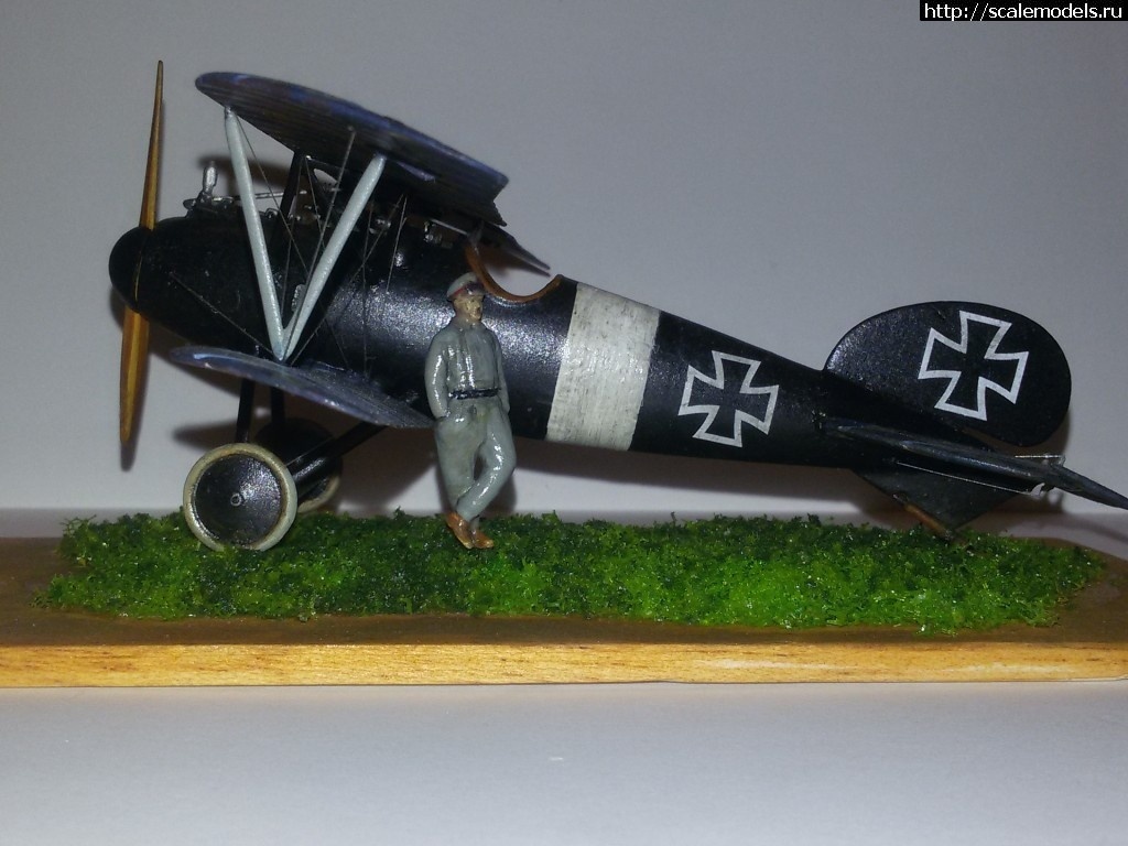 1492347026_2-2.jpg :    Albatros!   1/48  1/32  