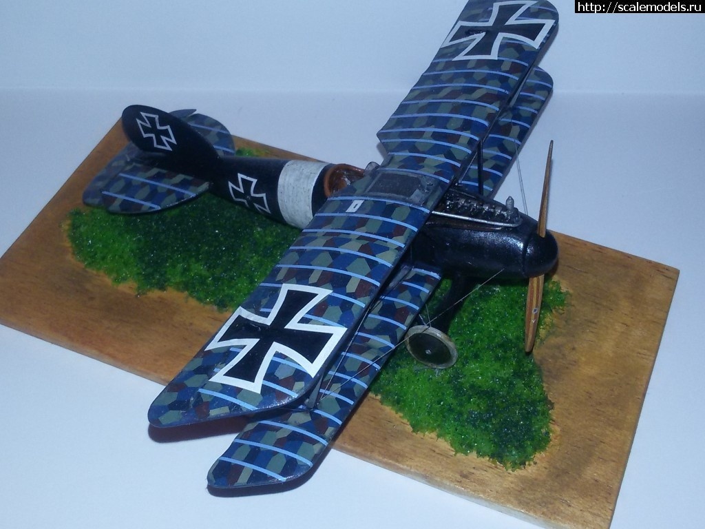 1492347030_2-5.jpg :    Albatros!   1/48  1/32  