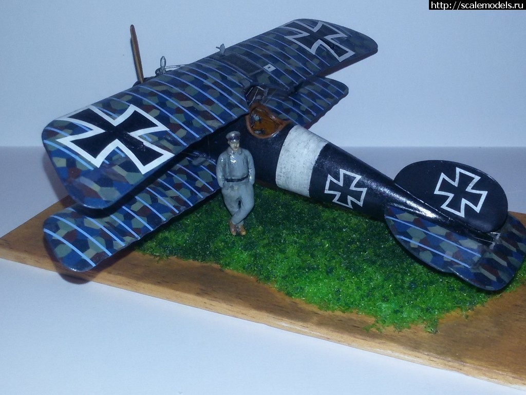 1492347031_2-6.jpg :    Albatros!   1/48  1/32  