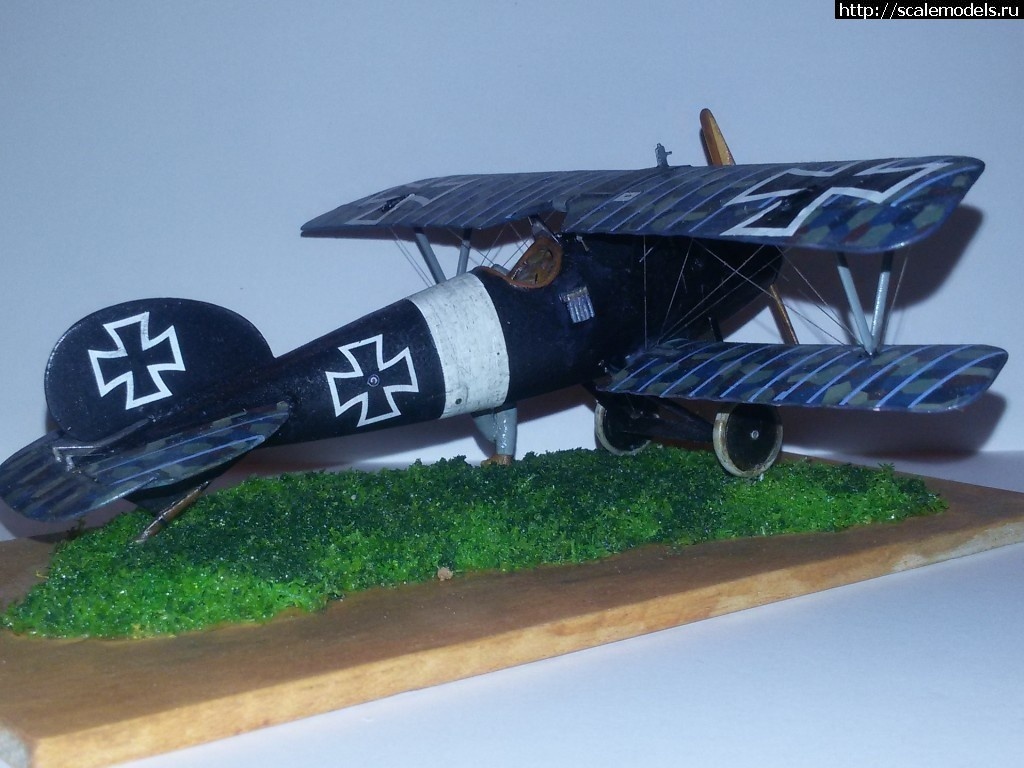 1492347032_2-7.jpg :    Albatros!   1/48  1/32  