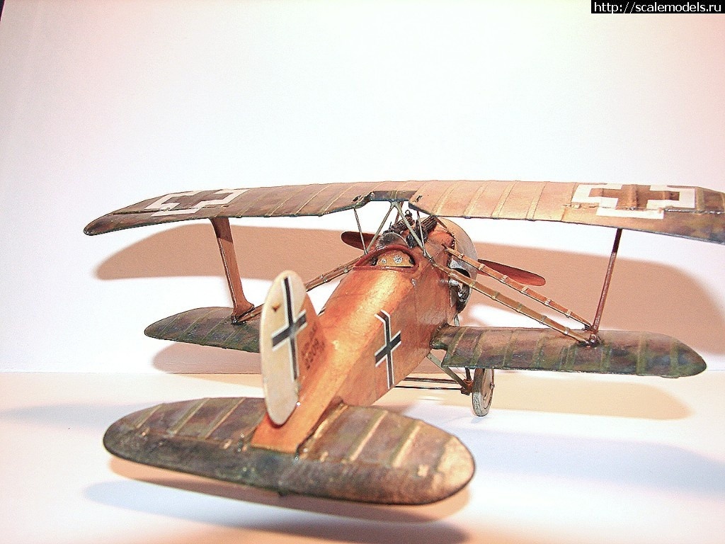 1492347095_3-2.jpg :    Albatros!   1/48  1/32  