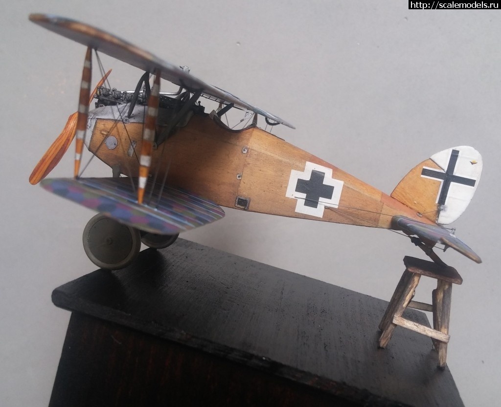 1492347184_5-3.jpg :    Albatros!   1/48  1/32  