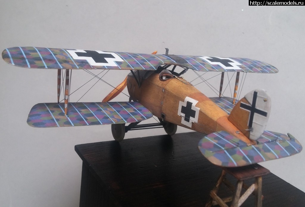 1492347185_5-4.jpg :    Albatros!   1/48  1/32  