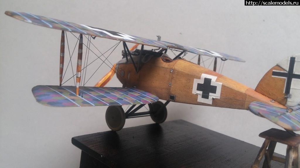 1492347188_5-8.jpg :    Albatros!   1/48  1/32  