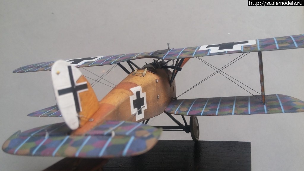 1492347188_5-9.jpg :    Albatros!   1/48  1/32  