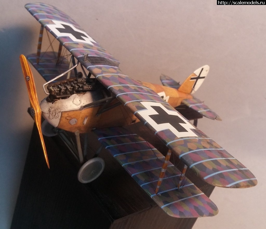 1492347191_5-13.jpg :    Albatros!   1/48  1/32  