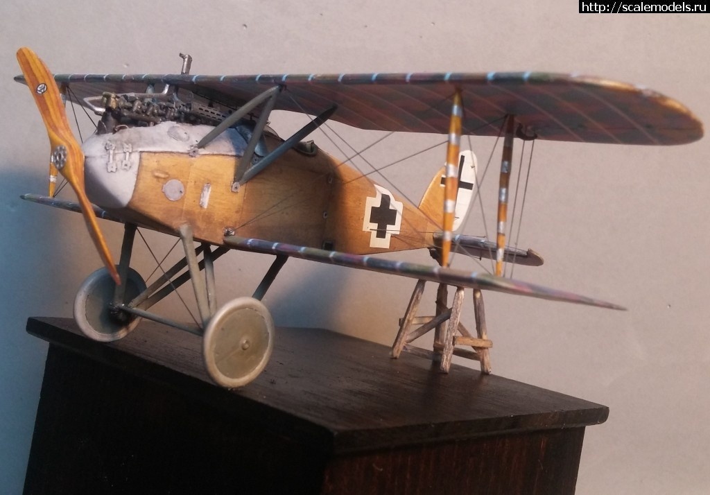 1492347192_5-14.jpg :    Albatros!   1/48  1/32  