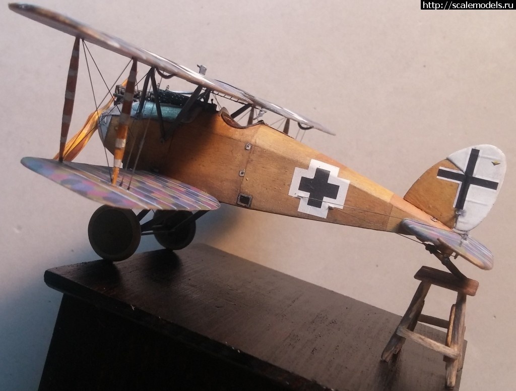 1492347193_5-15.jpg :    Albatros!   1/48  1/32  