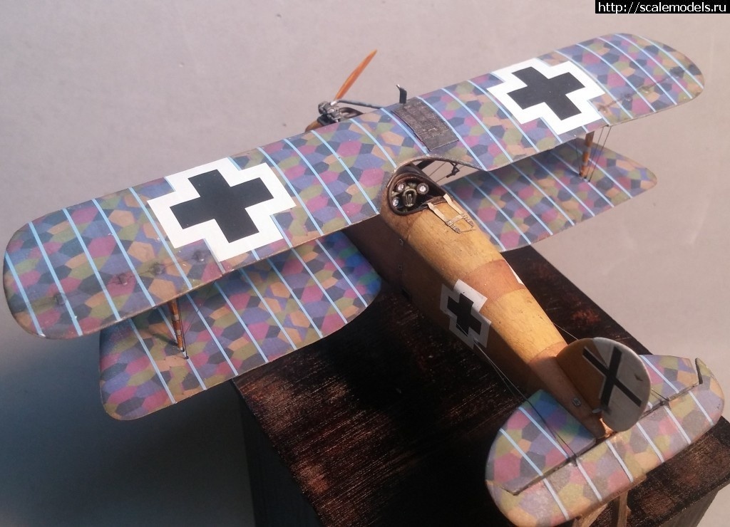 1492347194_5-16.jpg :    Albatros!   1/48  1/32  