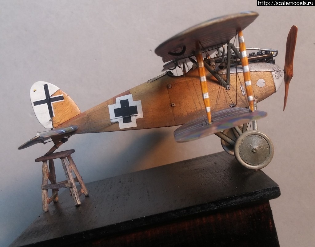 1492347195_5-18.jpg :    Albatros!   1/48  1/32  