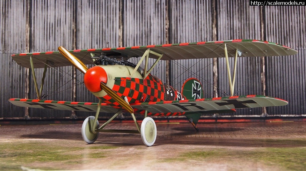 1492361053_7-3.jpg :    Albatros!   1/48  1/32  