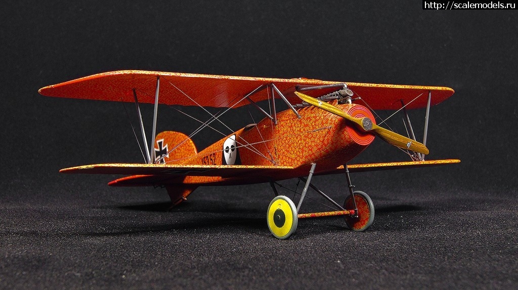 1492361145_6-6.jpg :    Albatros!   1/48  1/32  