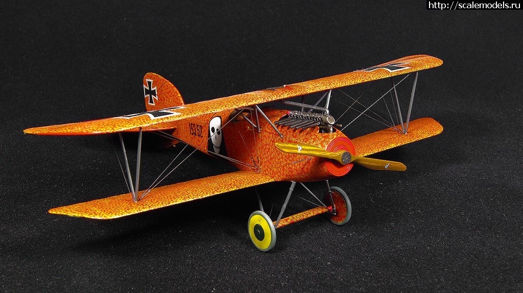 1492361146_6-7.jpg :    Albatros!   1/48  1/32  