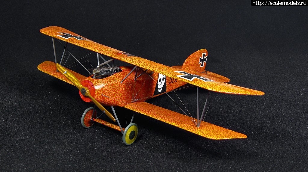 1492361147_6-8.jpg :    Albatros!   1/48  1/32  